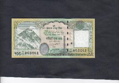 Beschrijving achterzijde: RHINICEROS